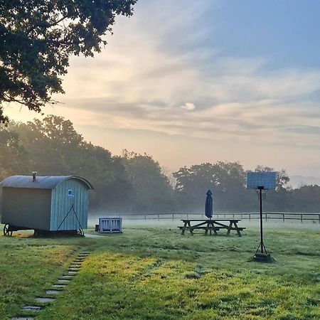 Skylark Shepherds Hut Royal Tunbridge Wells Zewnętrze zdjęcie