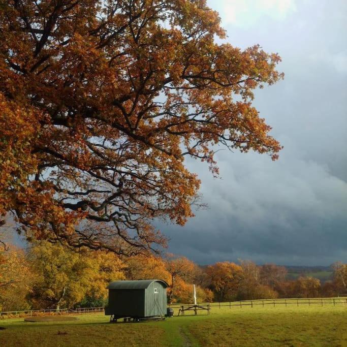 Skylark Shepherds Hut Royal Tunbridge Wells Zewnętrze zdjęcie